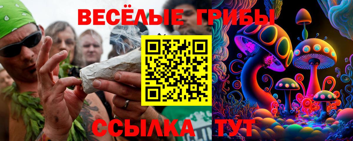 Галлюциногенные грибы прущие грибы  Вход с VPN  Ачхой-Мартан 